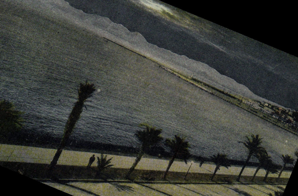 CPA Cannes Vue Panoramique