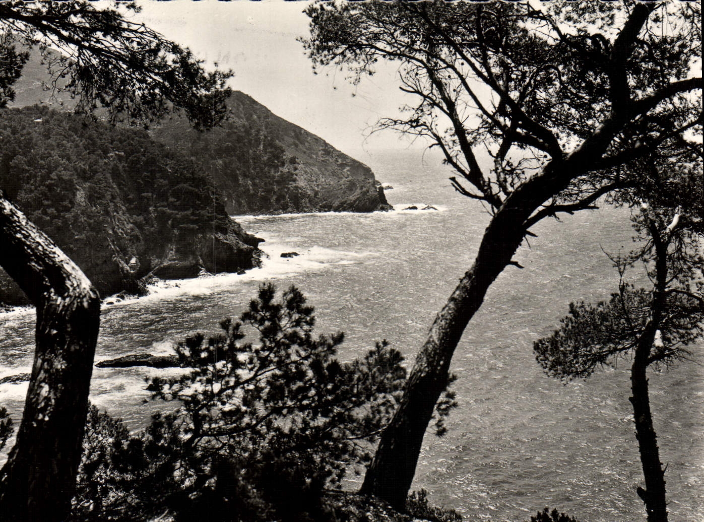 CPM Cote D'Azur Le Cap Sicie