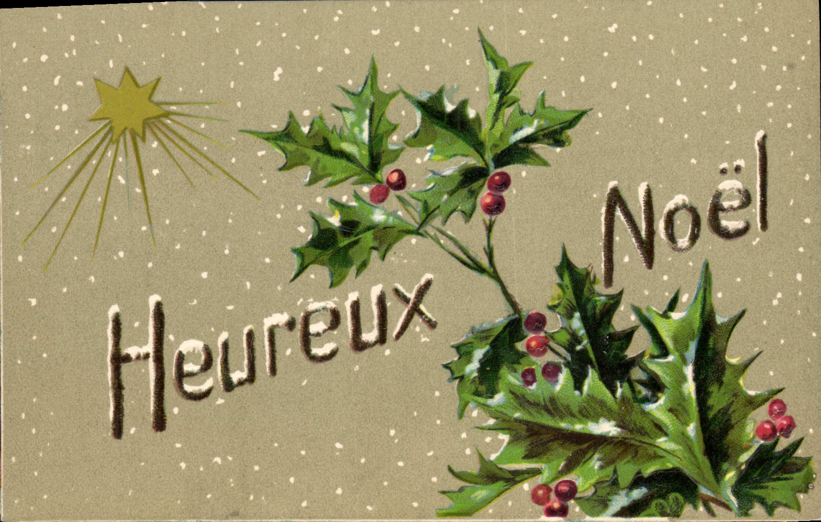 CPA Fantaisie Fleurs Noel