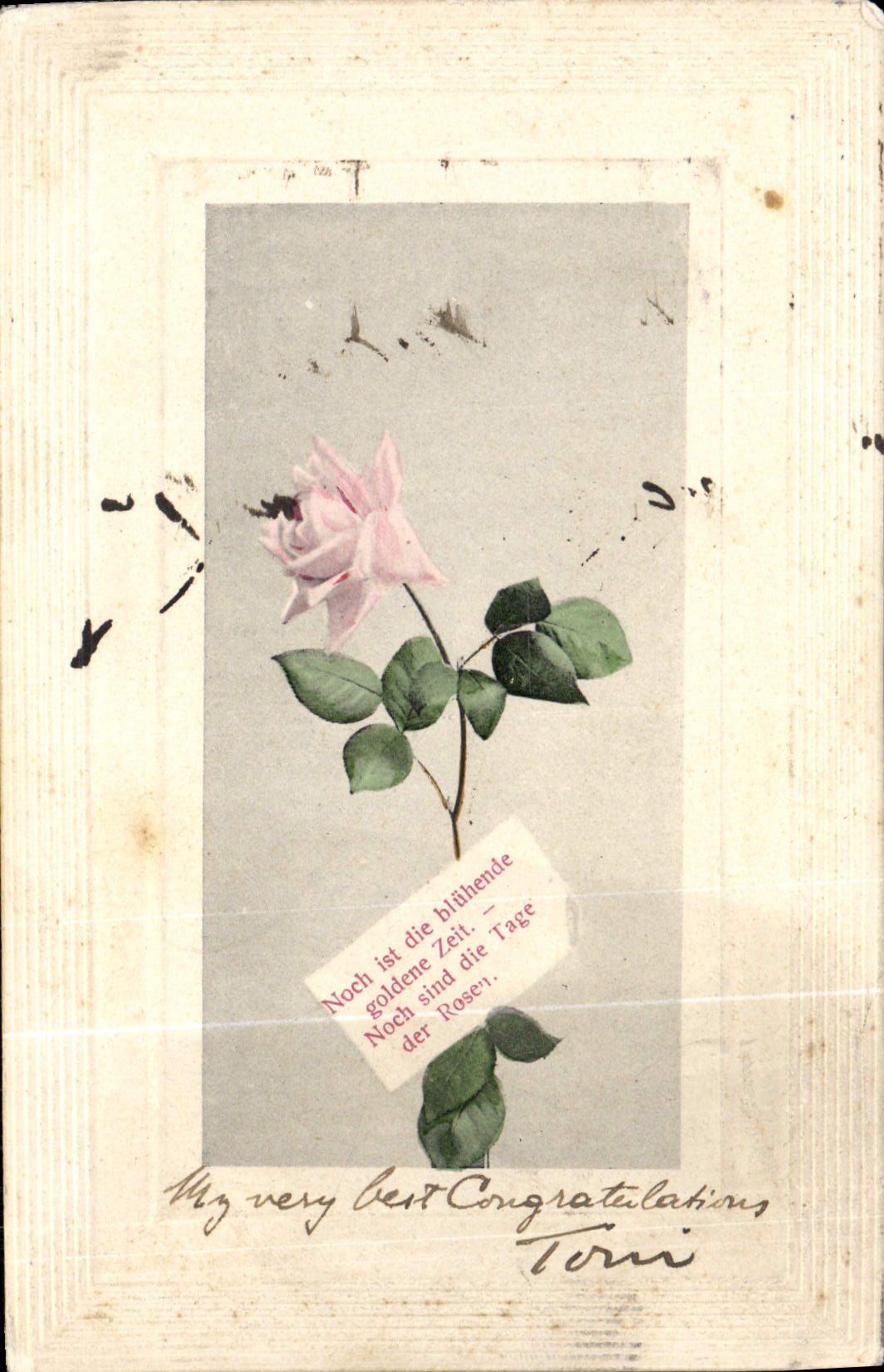 CPA Fantaisie Fleurs Rose