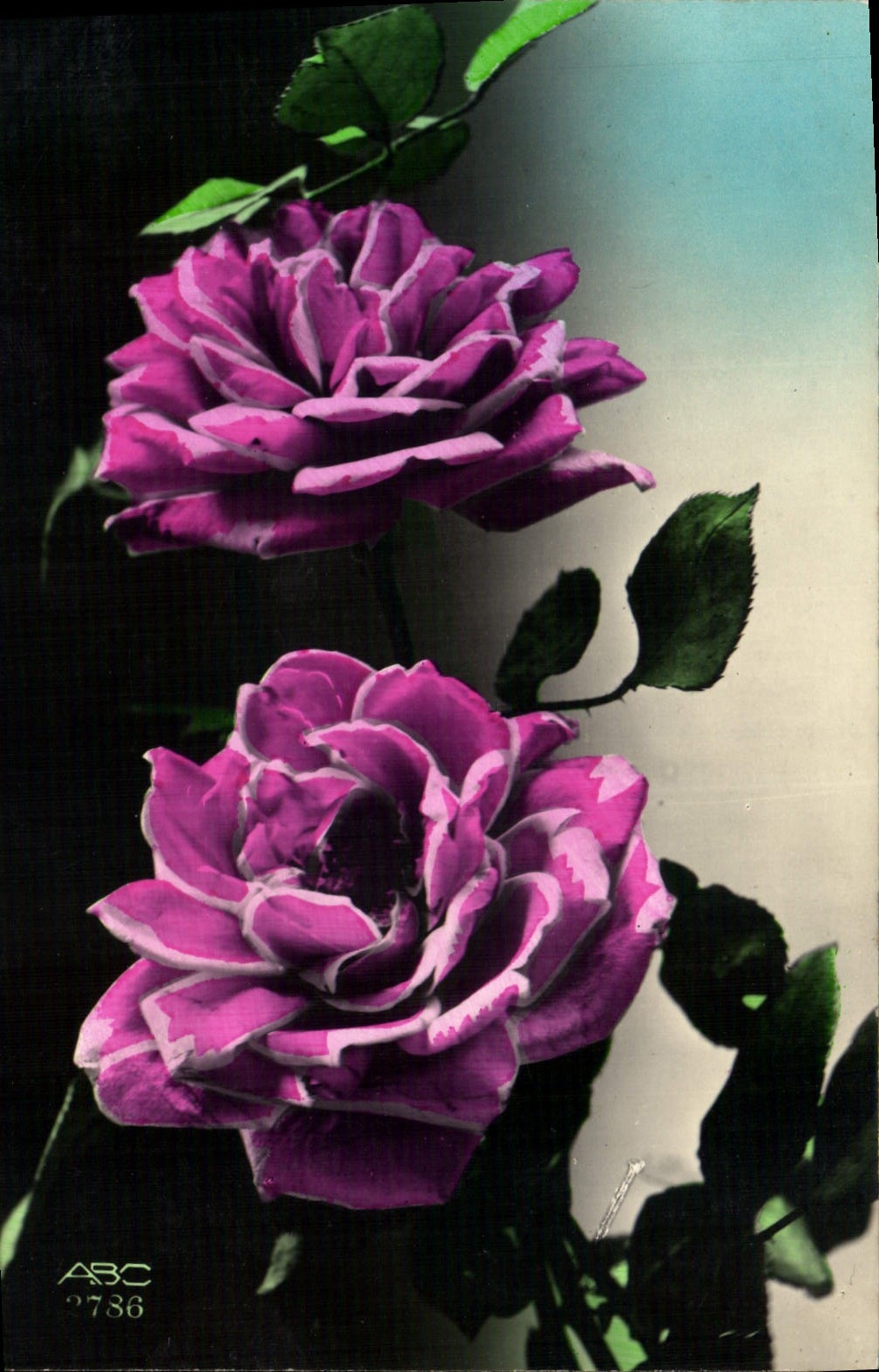 CPA Fantaisie Fleurs 