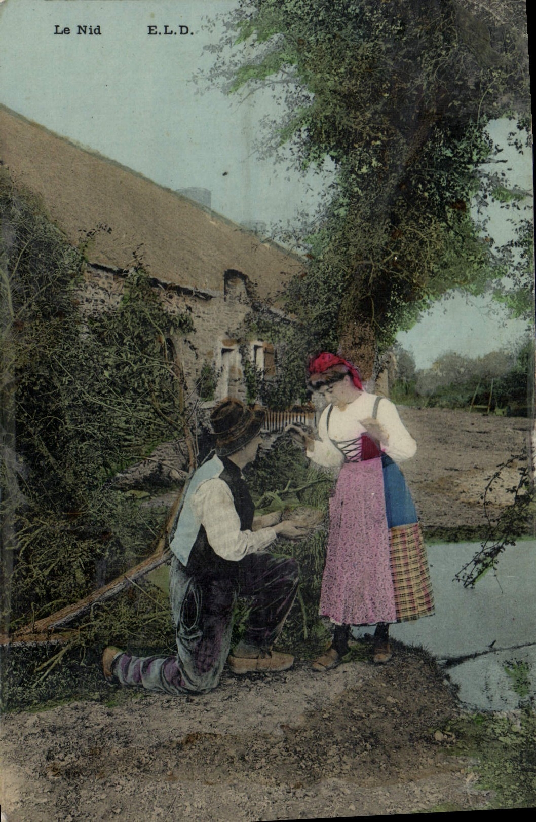 VINTAGE POSTCARD Fantasy Woman the nest Folklore