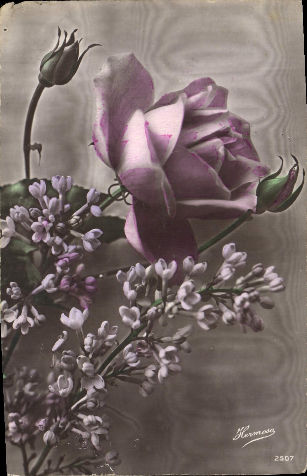 CPA Fantaisie Fleurs