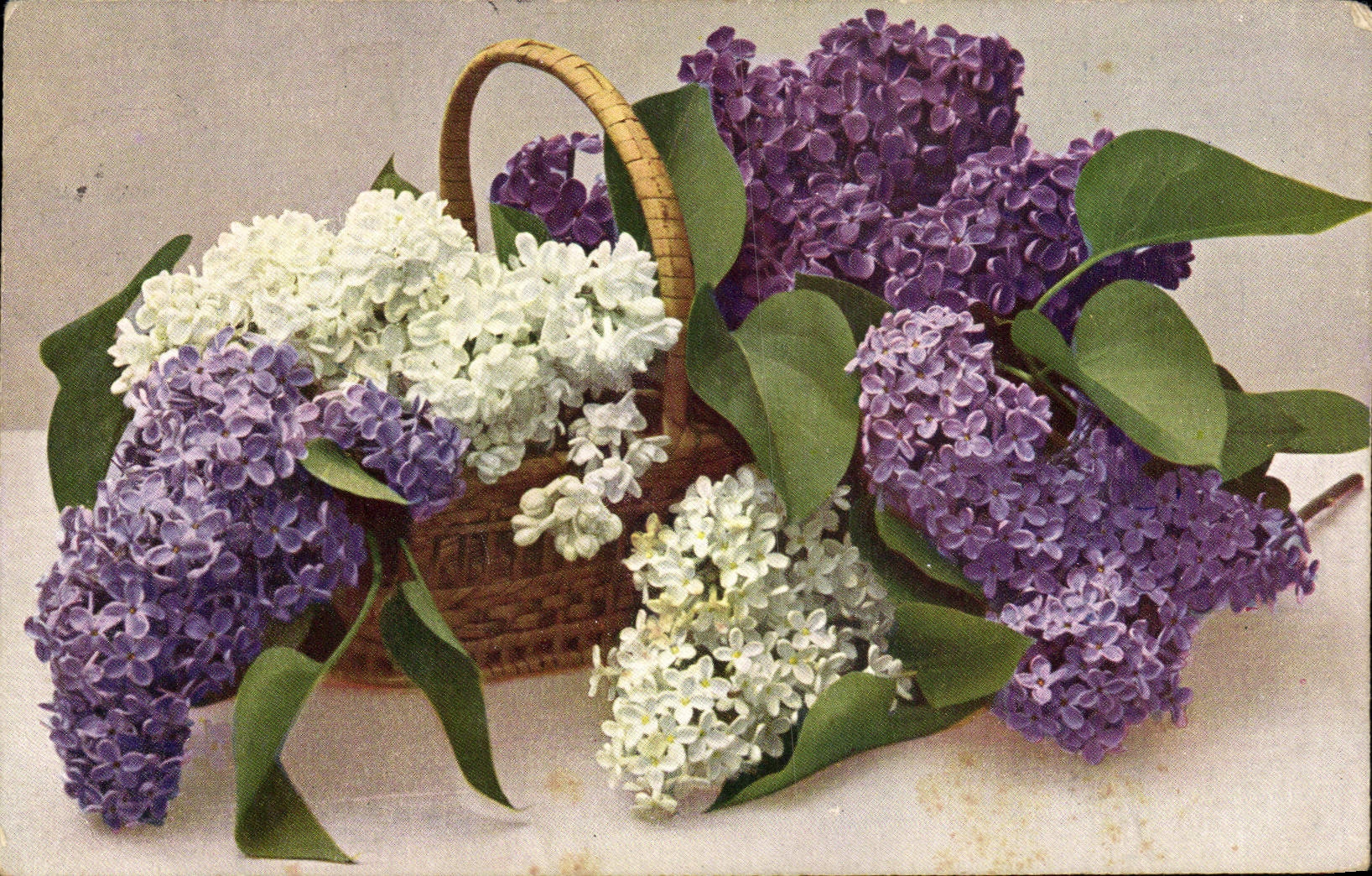 CPA Fantaisie Fleurs