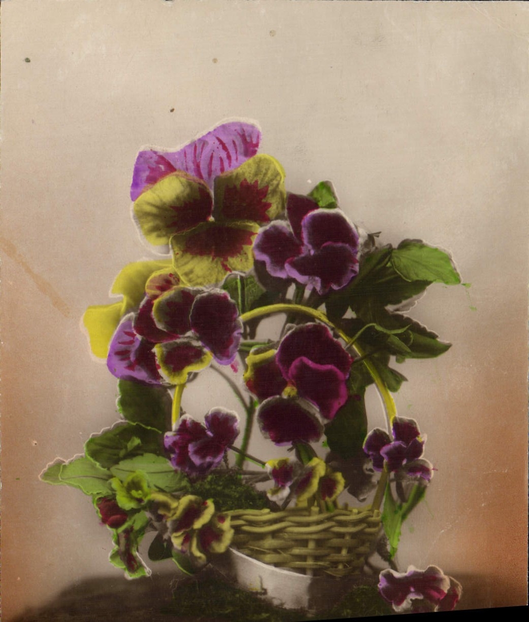 CPA Fantaisie Fleurs 