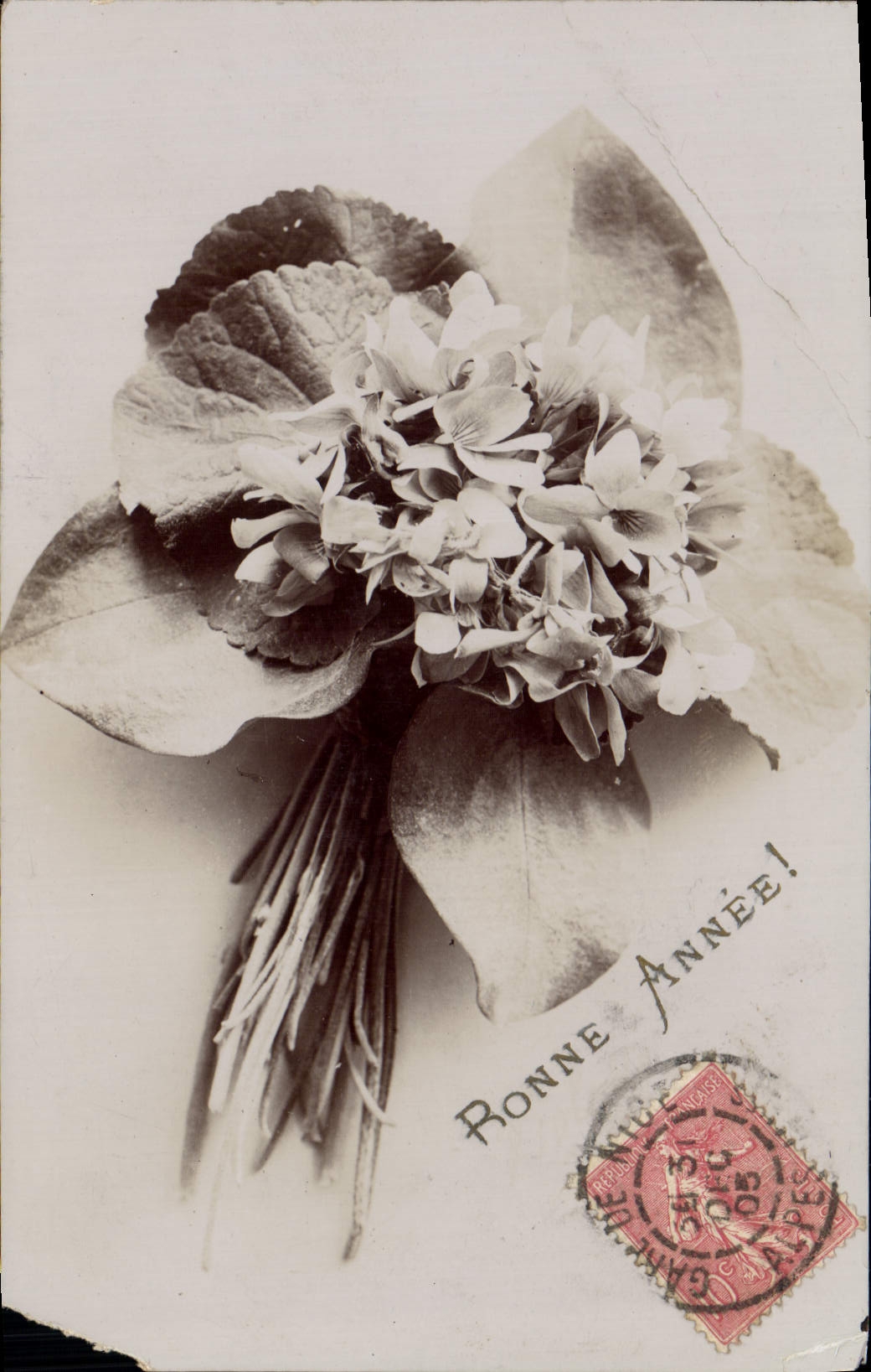 CPA Fantaisie Fleurs 