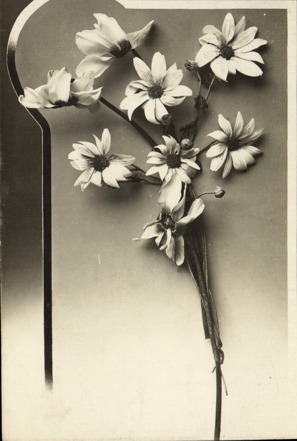 CPA Fantaisie Fleurs