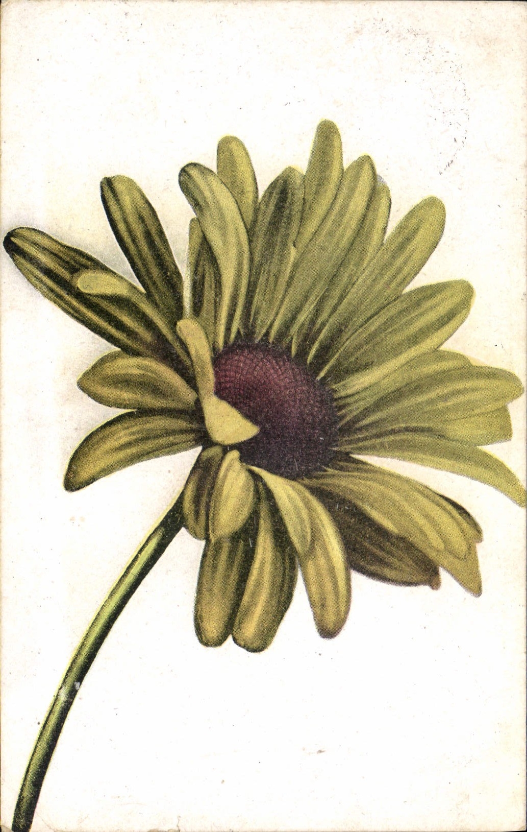 CPA Fantaisie Fleurs