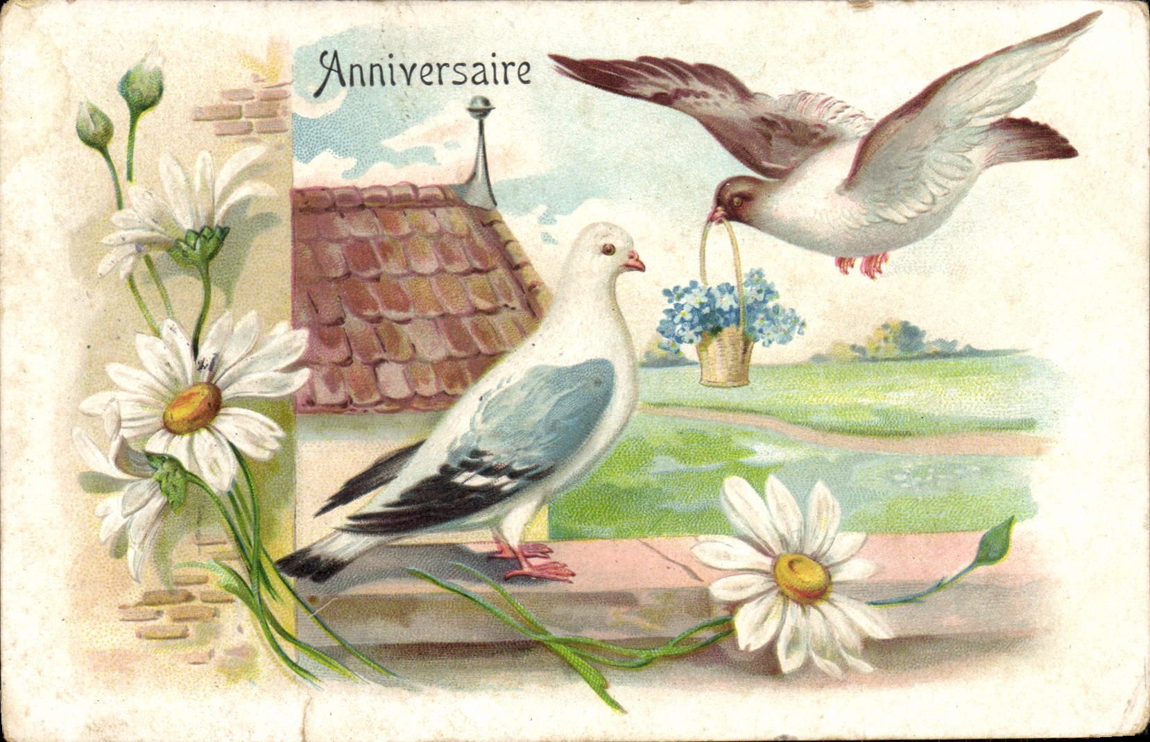 CPA Fantaisie Oiseaux