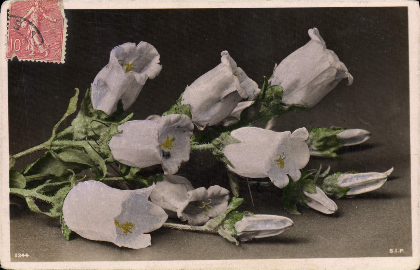 CPA Fantaisie Fleurs