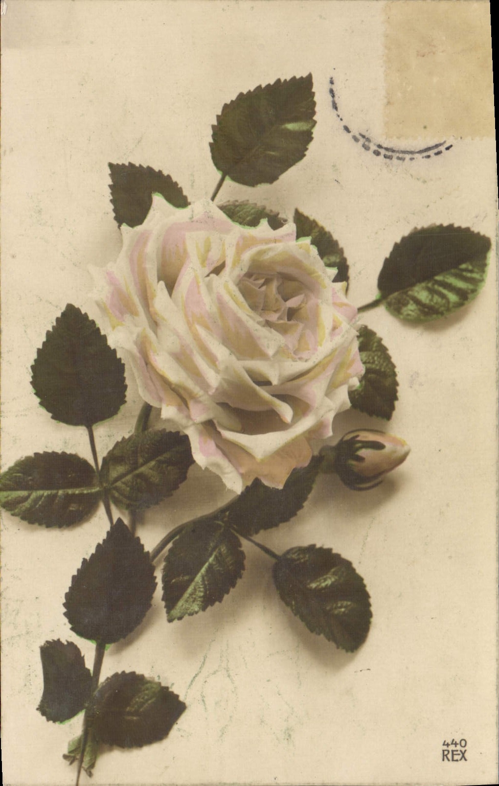 CPA Fantaisie Fleurs Rose