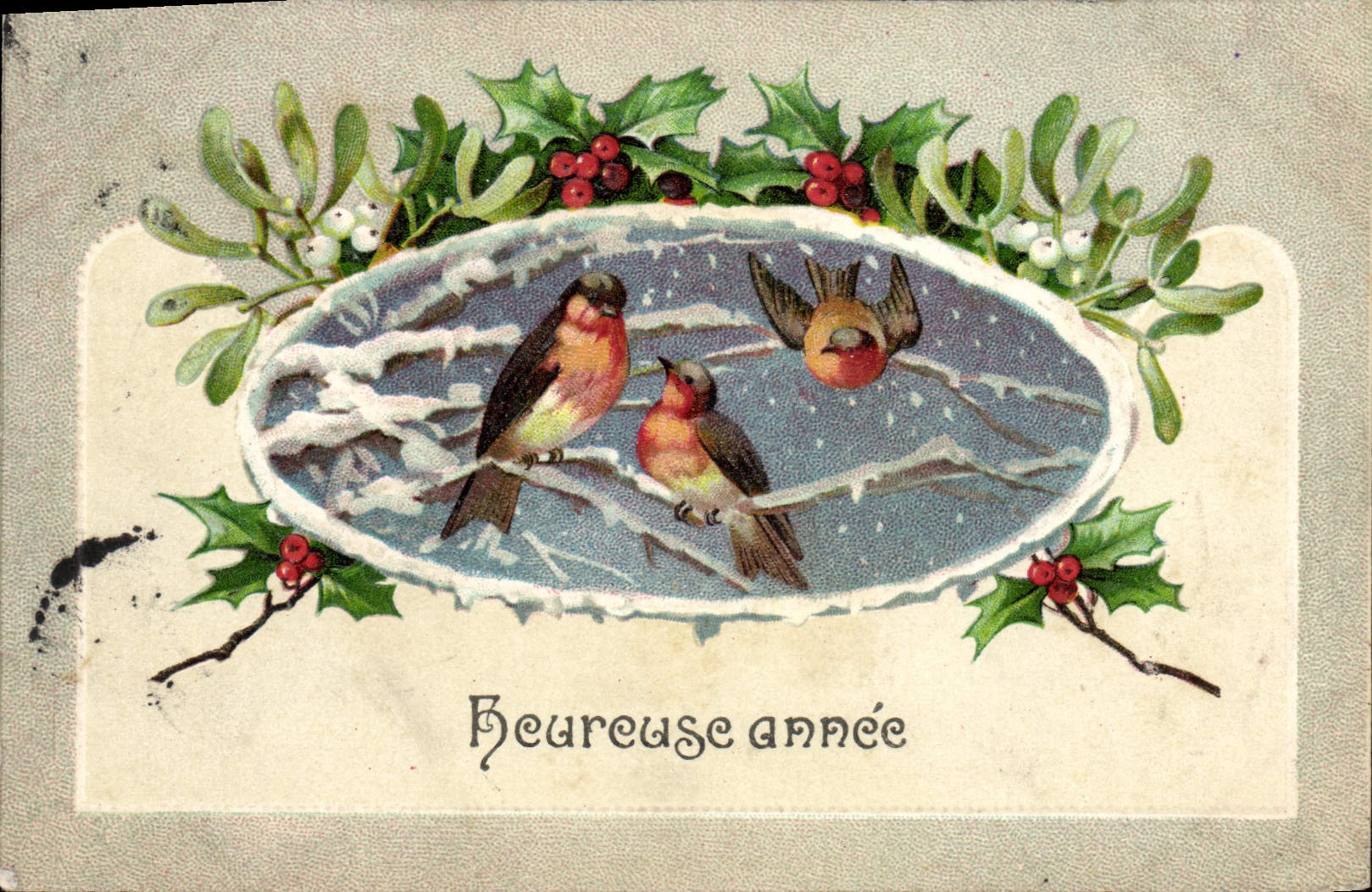 CPA Fantaisie Oiseaux
