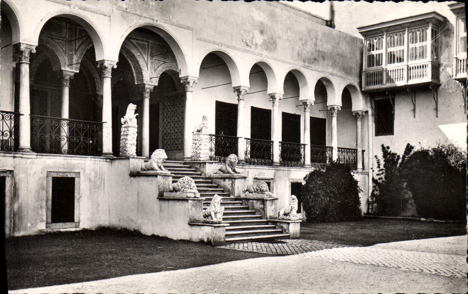 CPM Tunis Le Bardo L'escalier des lions