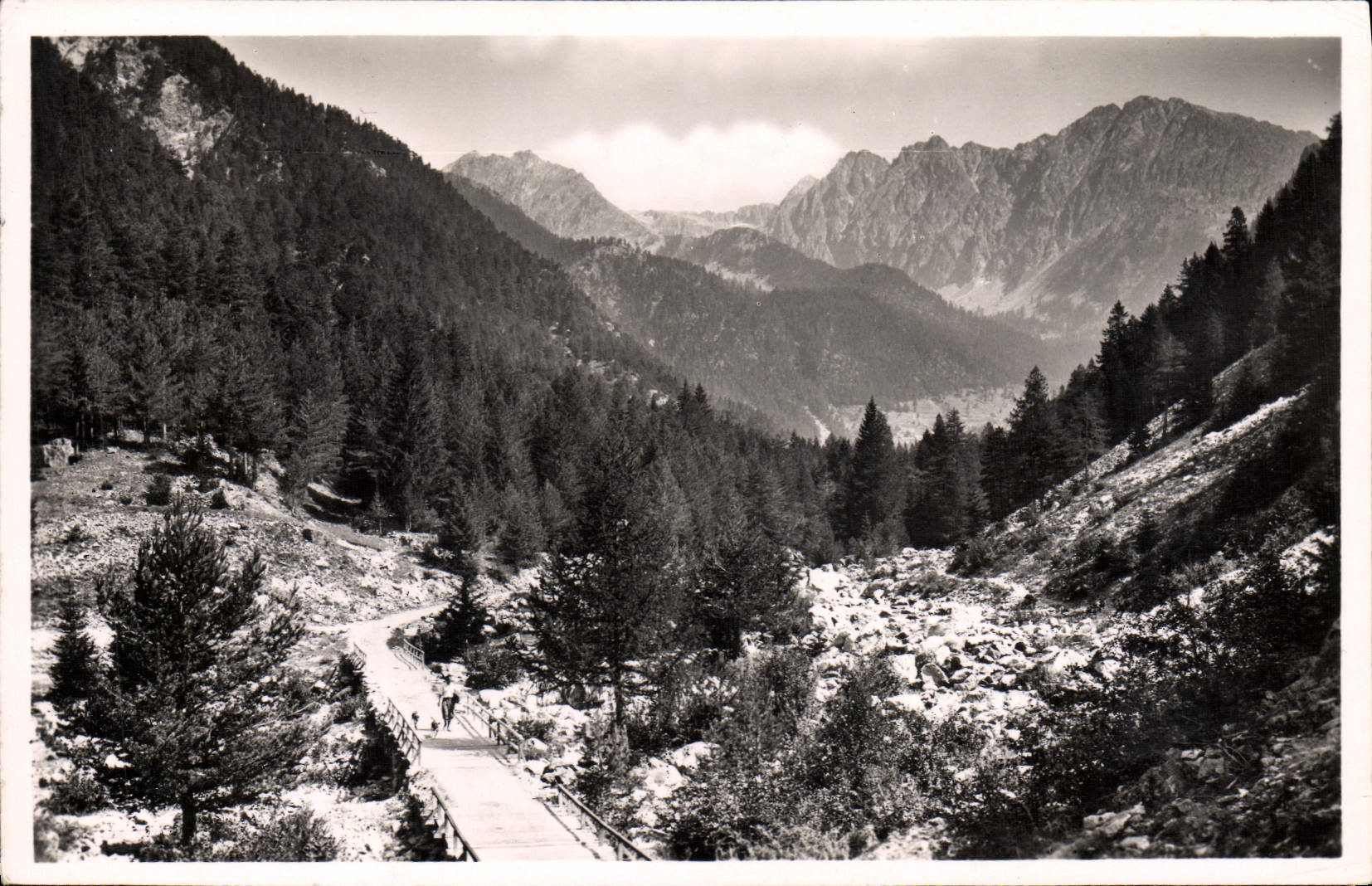 CPM St Martin Vesubie La Route du Boreon