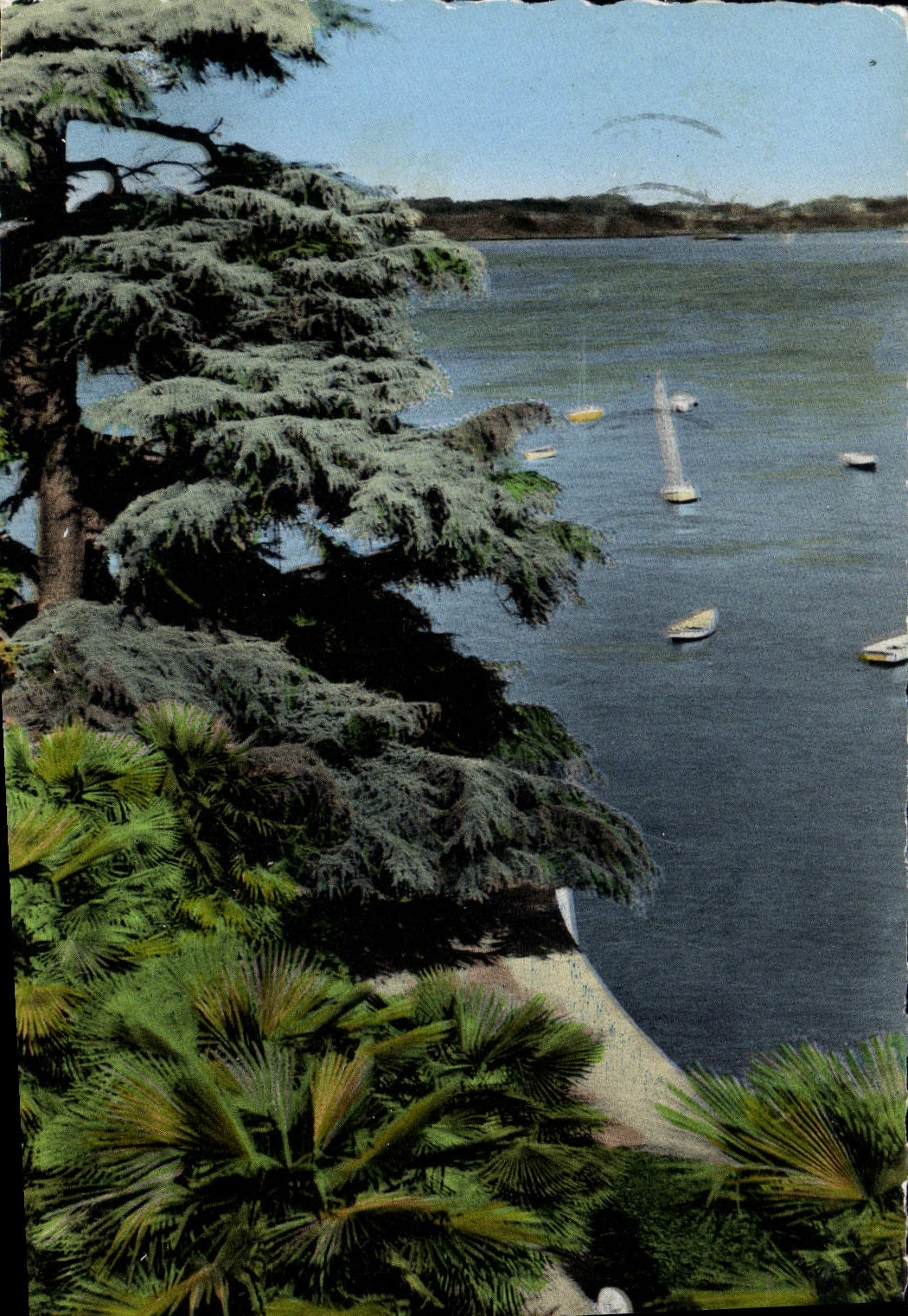 CPM Dinard Cote Stmeraude Promenad du clair de Lune