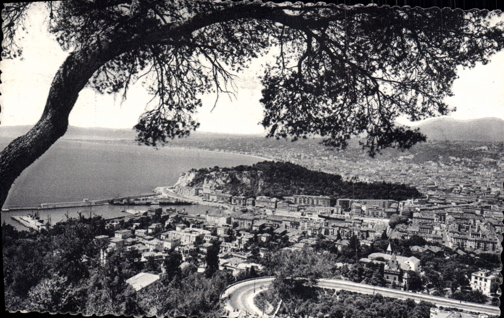 CPM Nice Vue Generale Prise du Mont Boron