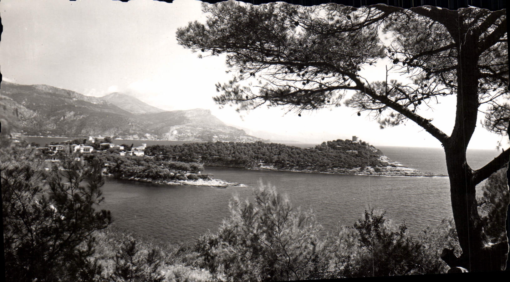 CPM Saint Jean Cap Ferrat Vue Sur Saint Hosplace Cap d'Ail et la tete de chien
