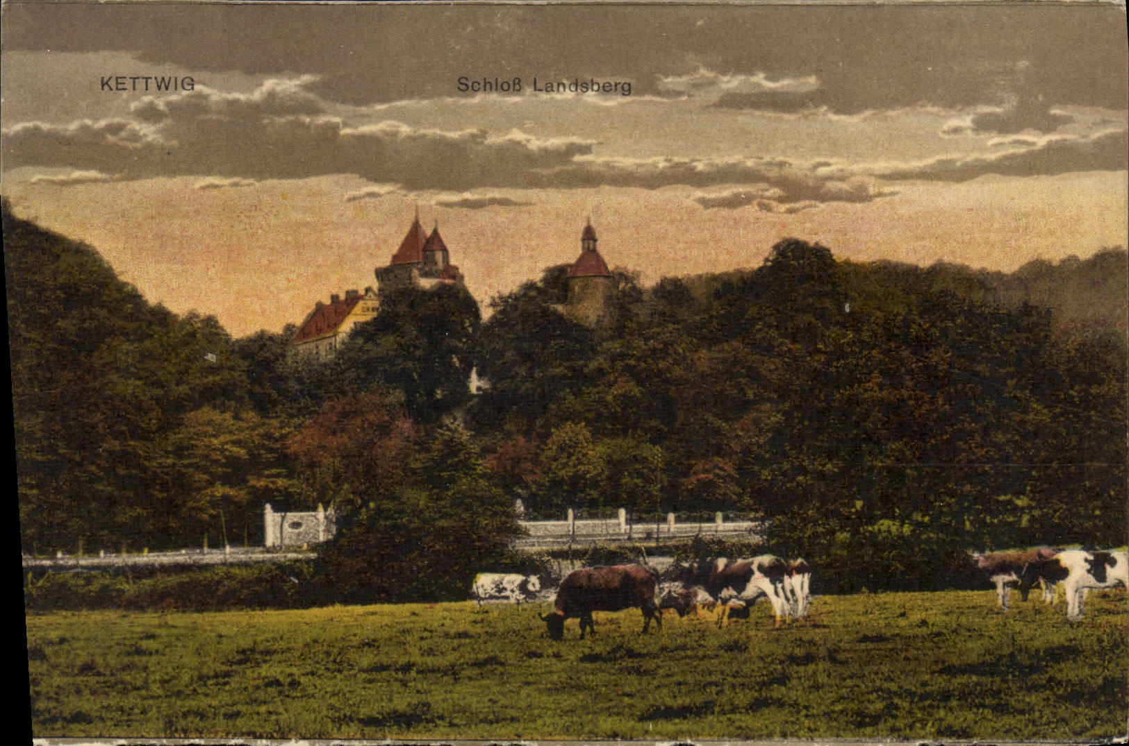 CPA Kettwig Schloss Landsberg Vaches