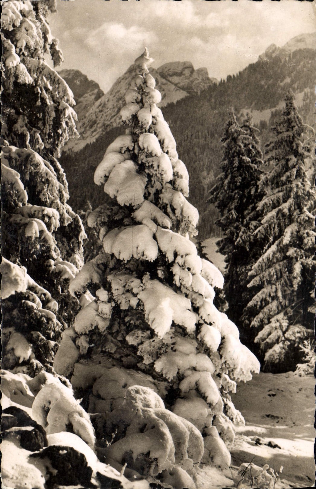 MODERN CARD the drill under the winter coat