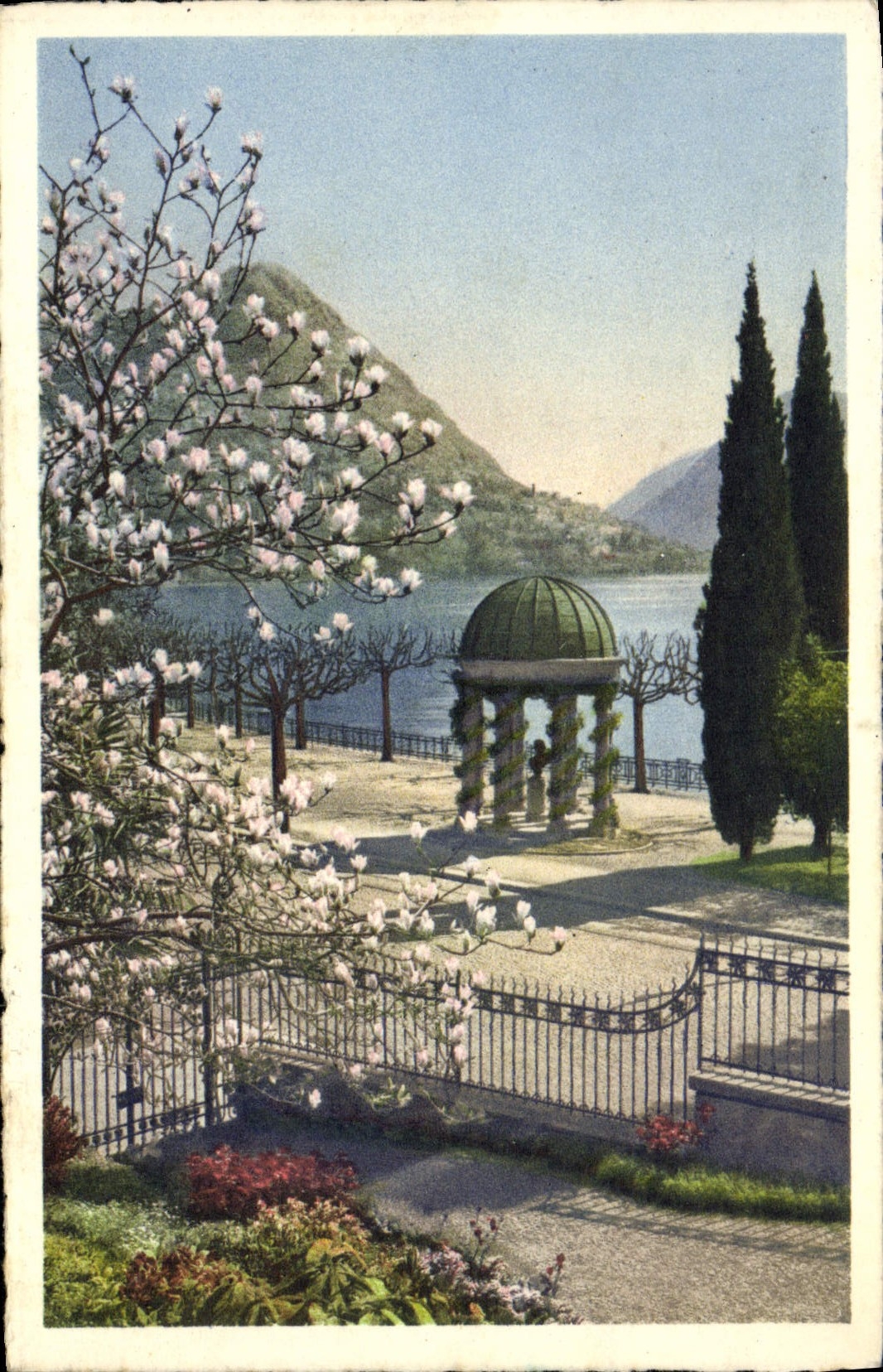 CPA Lugano Magnolie in Fiore