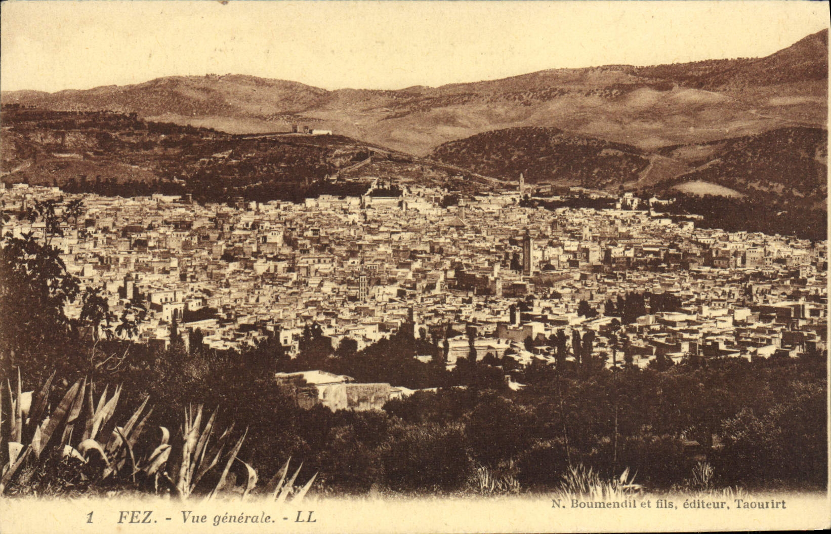 CPA Fez Vue Generale