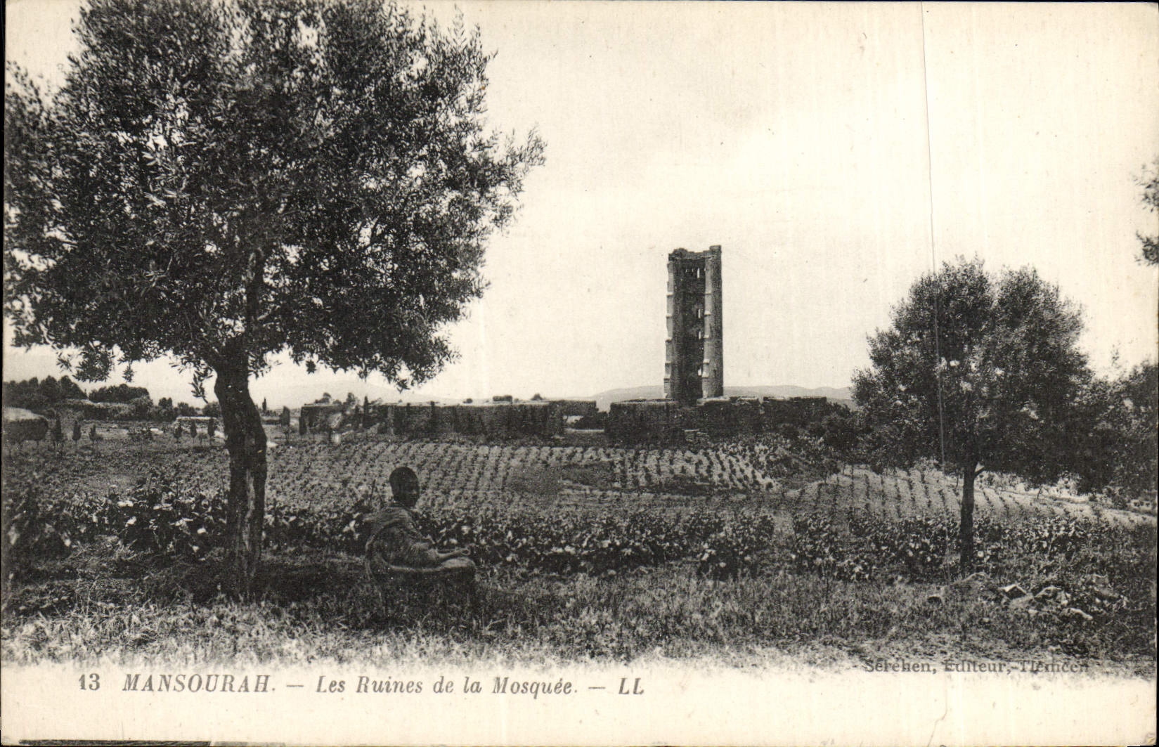 CPA Mansourah Les Ruines de la Mosquee
