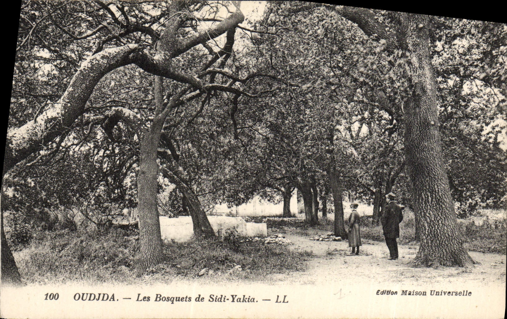 CPA Oudjda Les Bosquets de Sidi Yakia