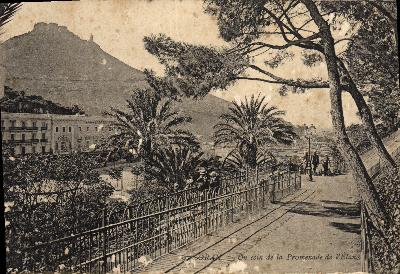 CPA Oran Un coin de la promenade de l'etang