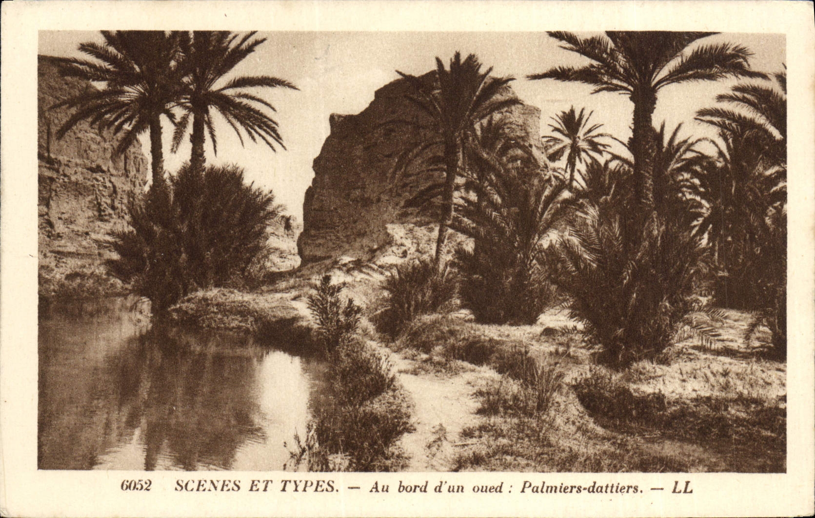 CPA Scenes Et Types Au Bord d'Un oued Palmiers dattiers