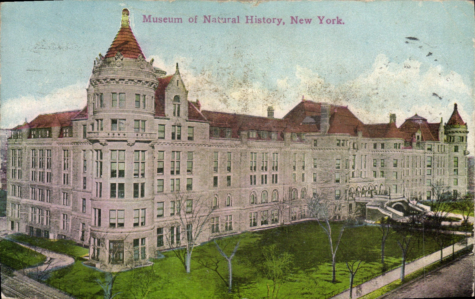 CPA Museum of Natural History New York