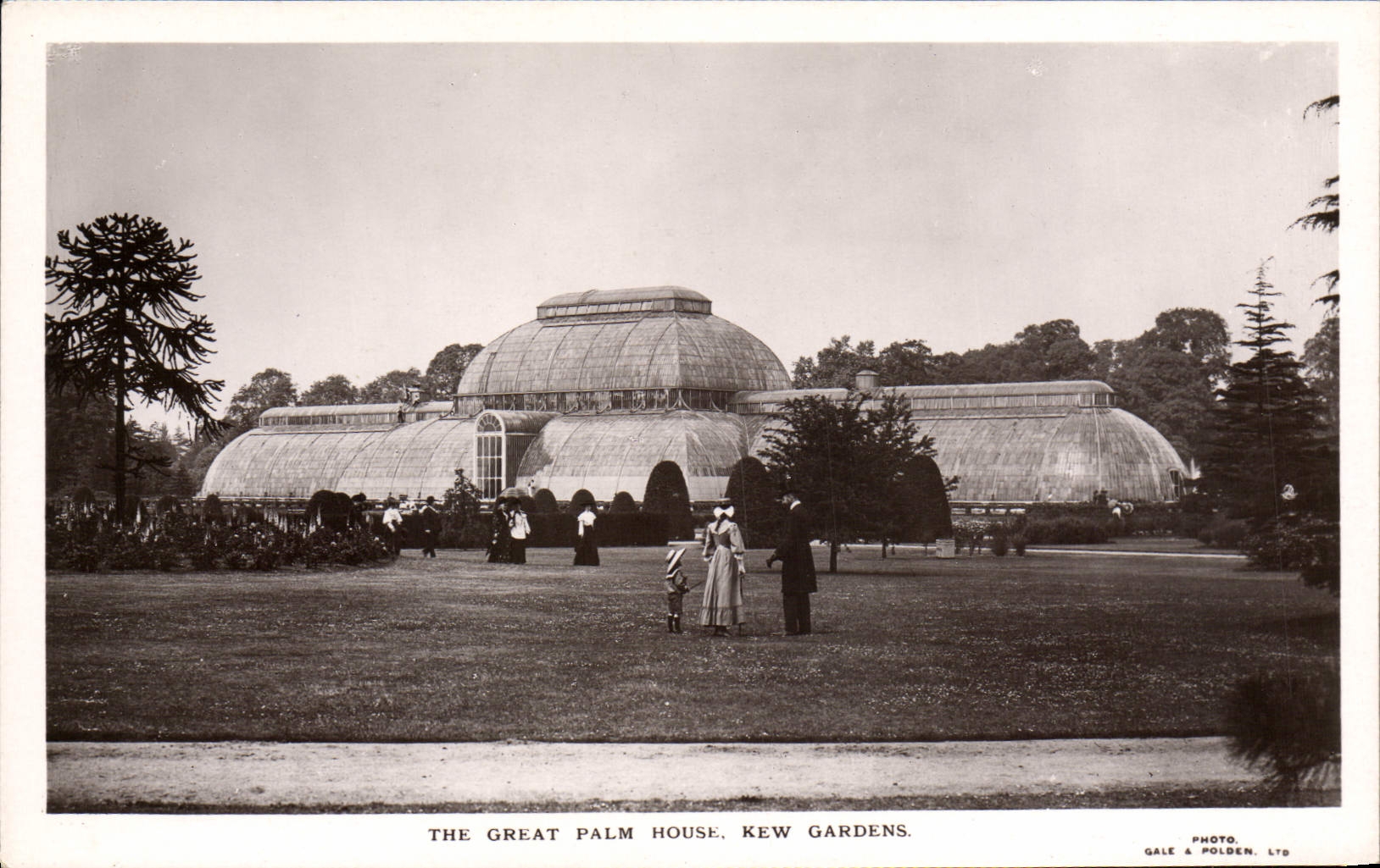 CPA The Great Palm House Kew Gardens