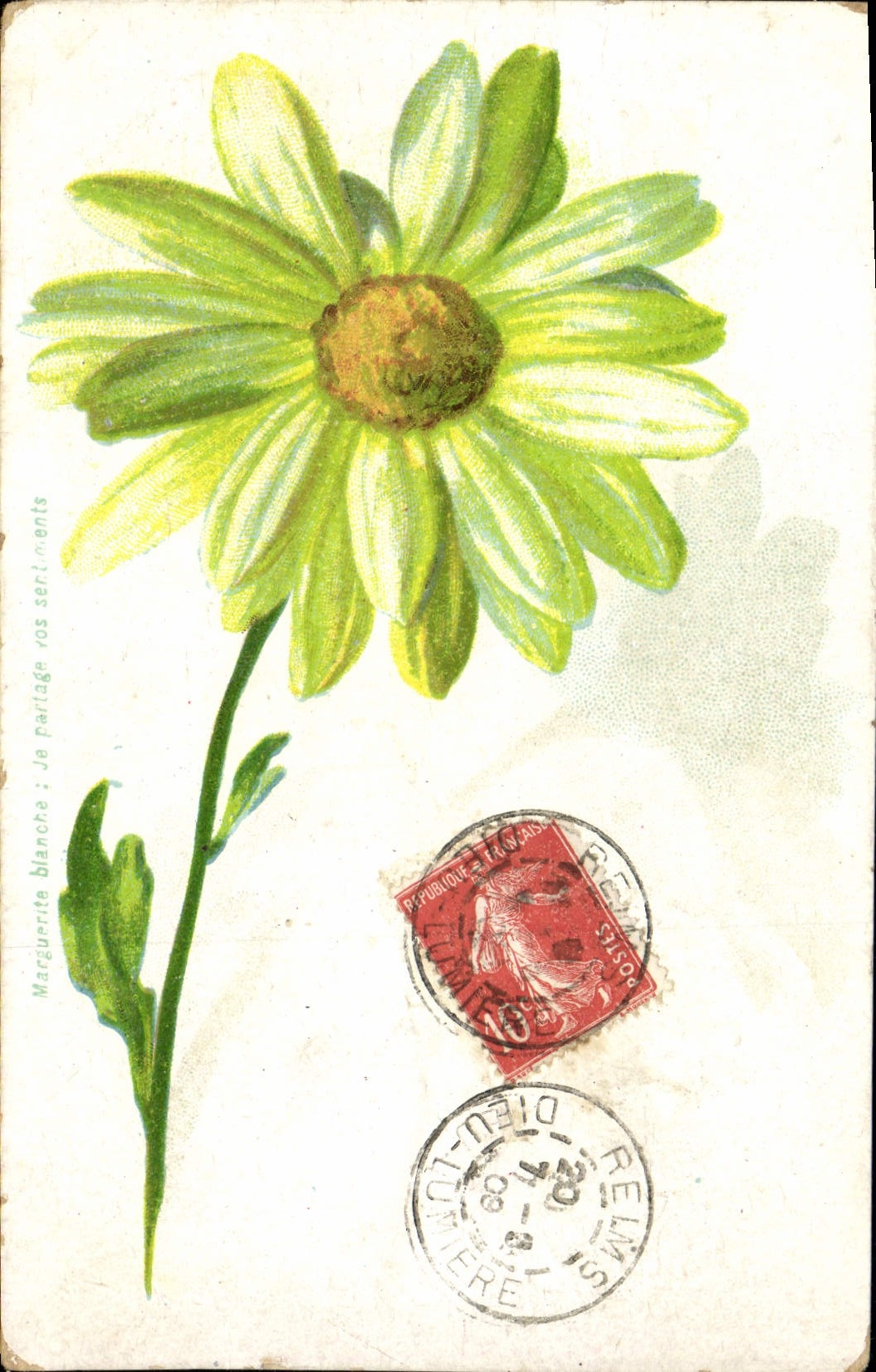 CPA Fantaisie Fleurs