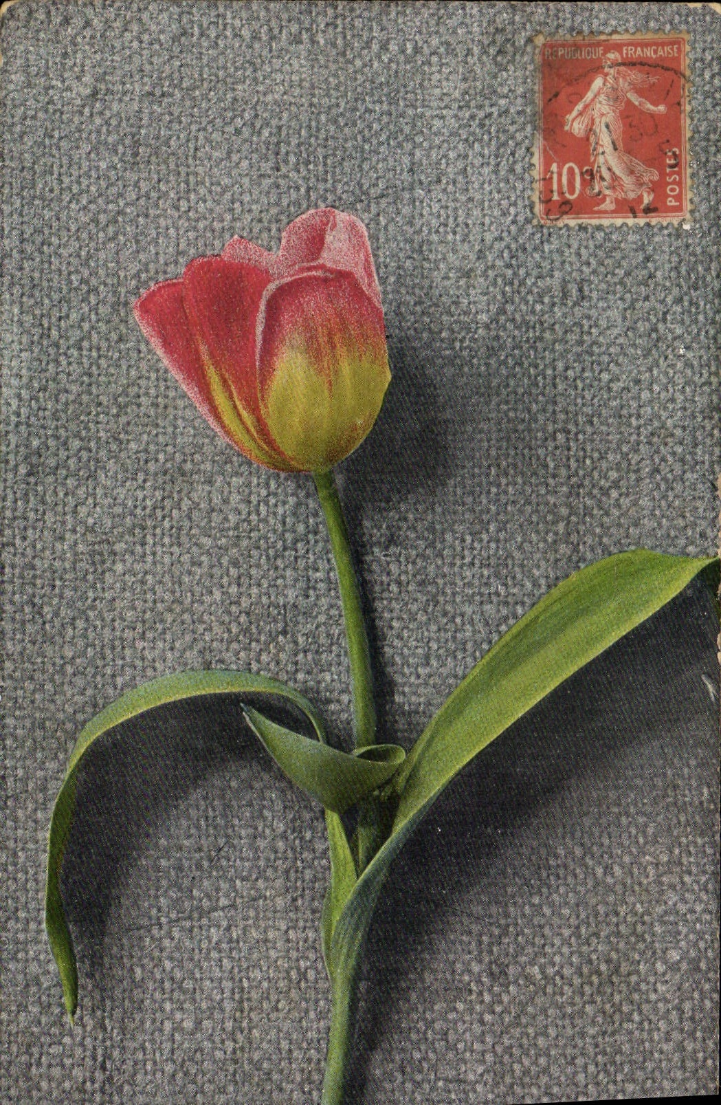 CPA Fantaisie Fleurs 