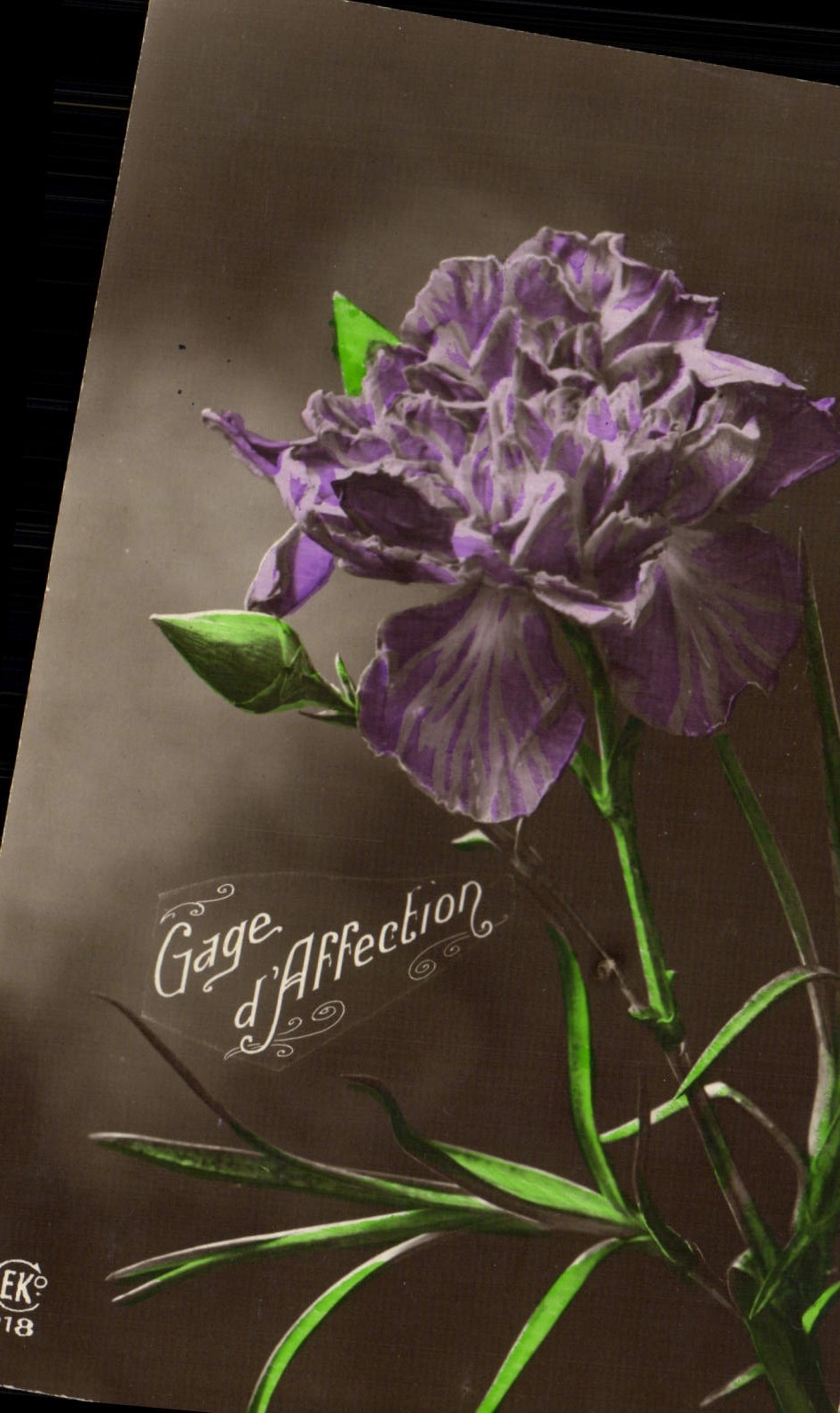 CPA Fantaisie Fleurs