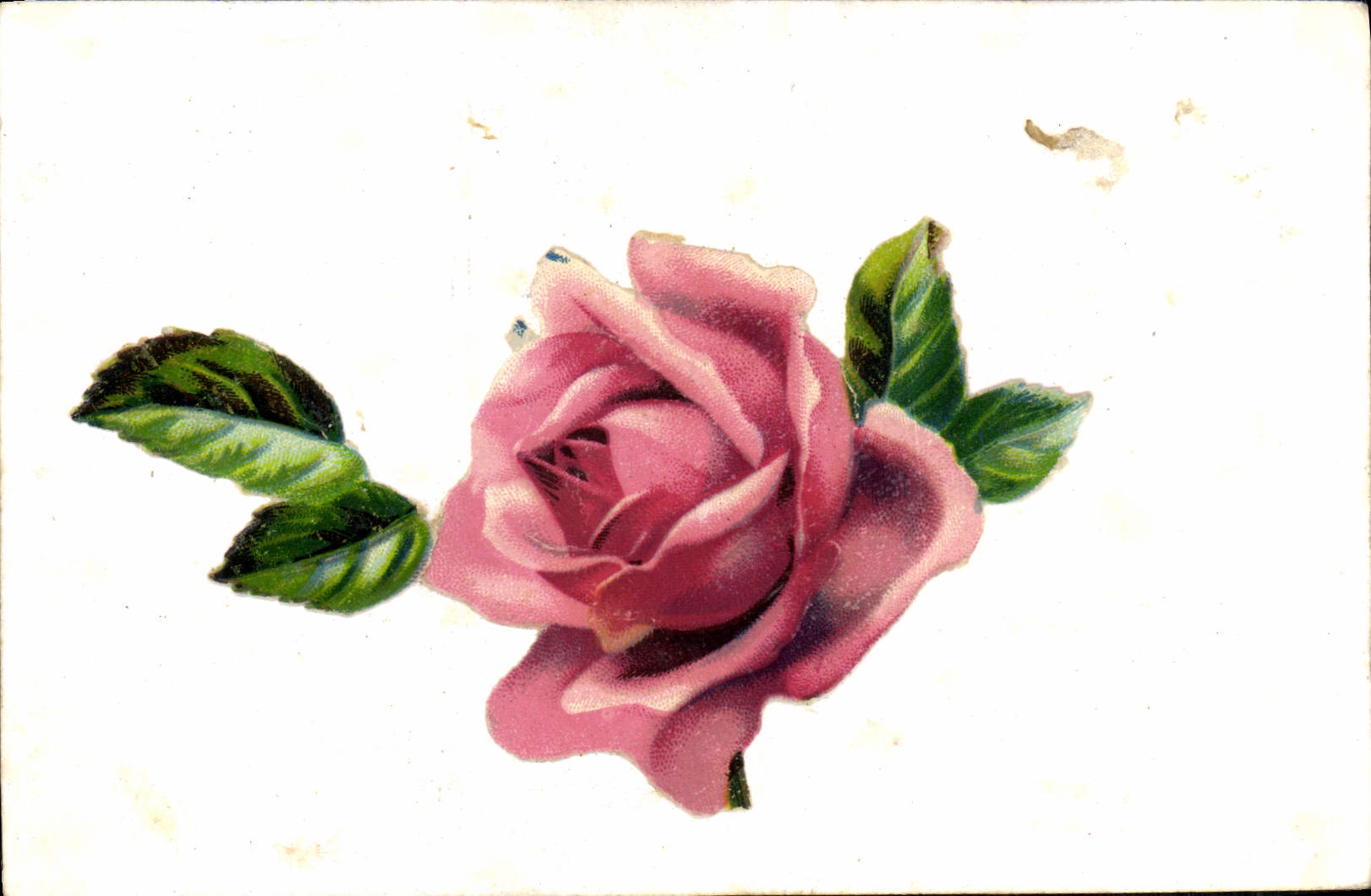 CPA Fantaisie Fleurs