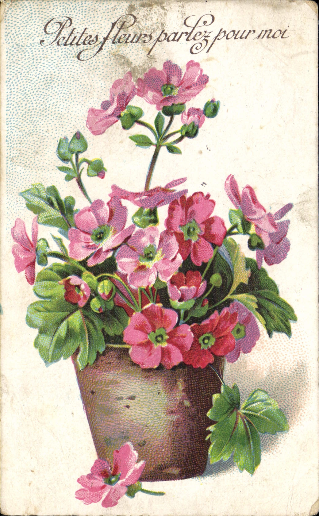 Flores de la fantasía de la POSTAL de la VENDIMIA