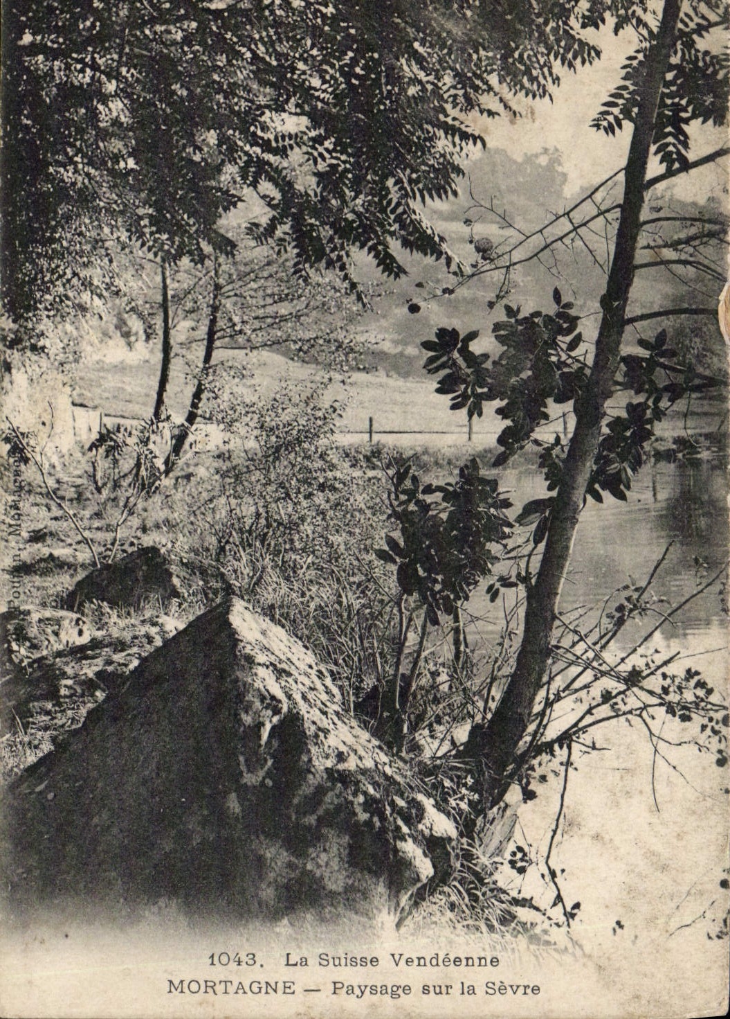 CPA Suisse vendeenne Mortagne Paysage sur la Sevre 
