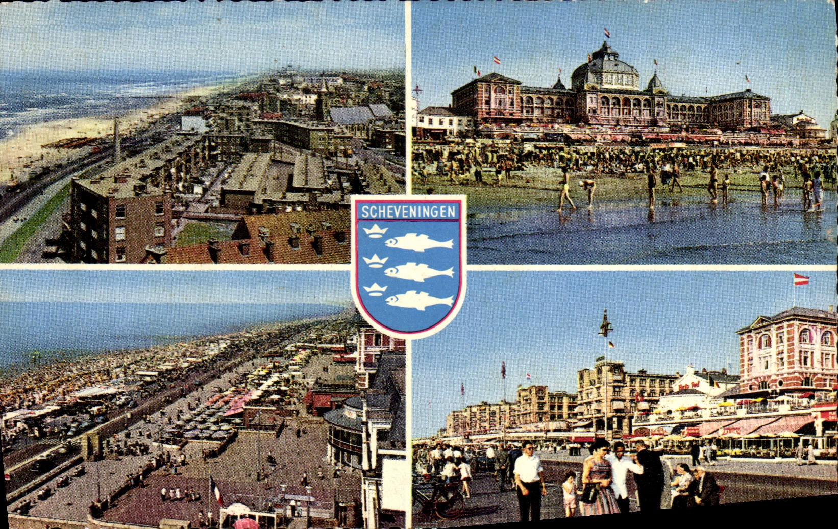 MODERN CARD Scheveningen Poisson