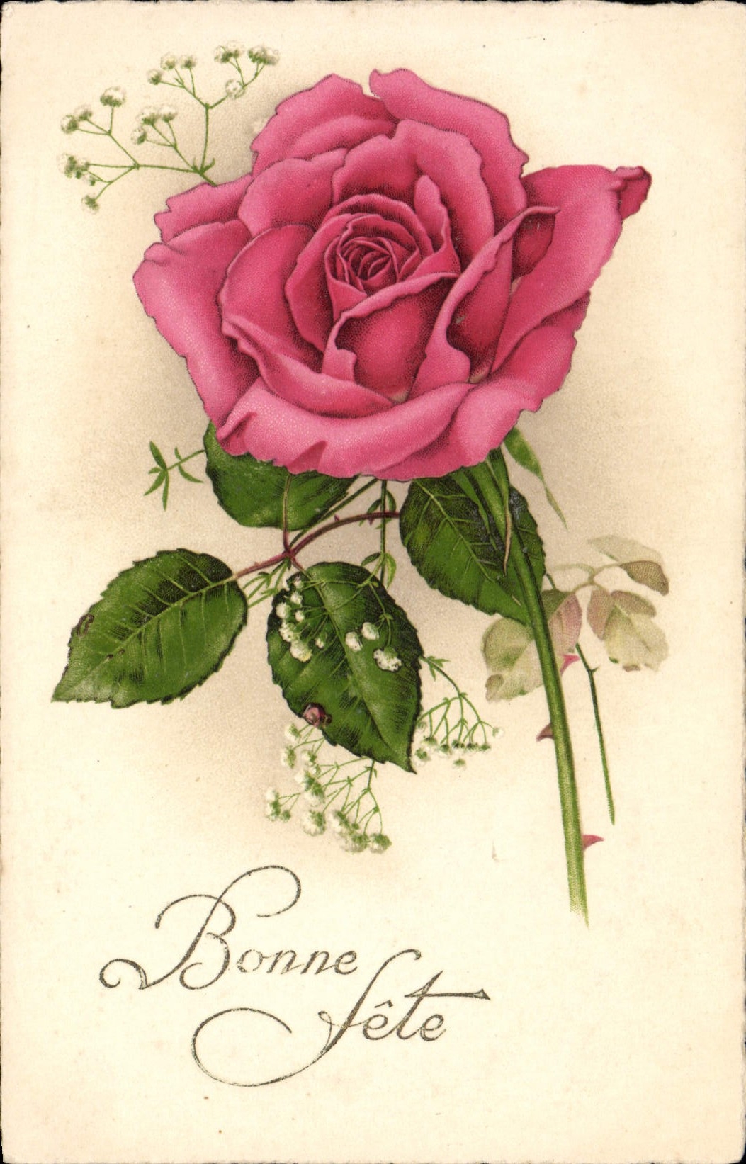 Flores de Rose de la fantasía de la POSTAL de la VENDIMIA