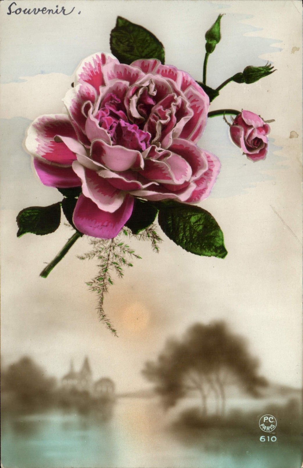 Flores de la fantasía de la POSTAL de la VENDIMIA