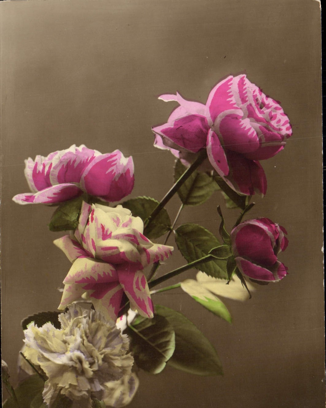 Flores de la fantasía de la POSTAL de la VENDIMIA