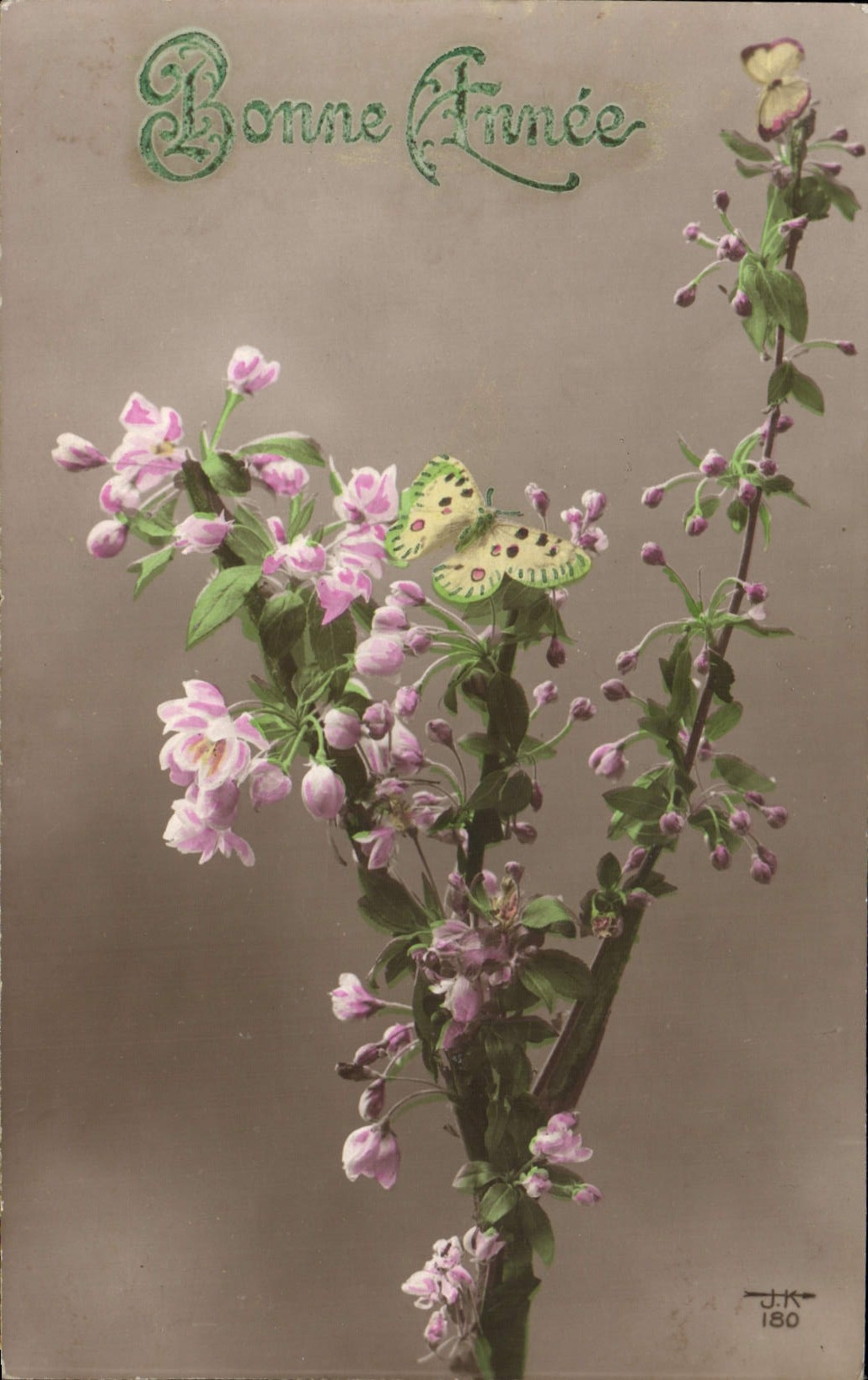 La fantasía de la POSTAL de la VENDIMIA florece la mariposa