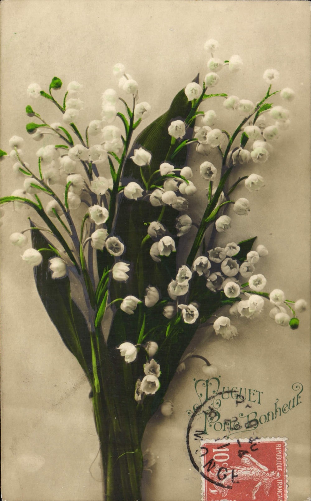 La fantasía de la POSTAL de la VENDIMIA florece el lirio de los valles