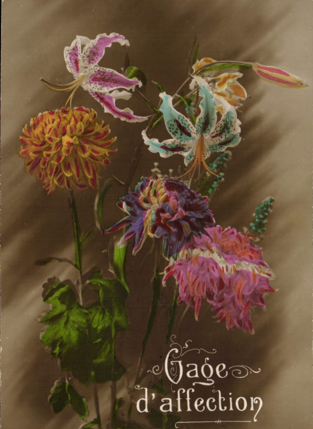 Flores de la fantasía de la POSTAL de la VENDIMIA