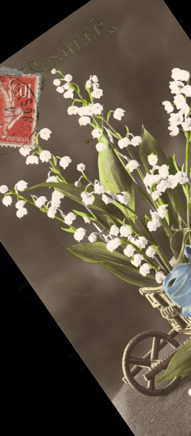 La fantasía de la POSTAL de la VENDIMIA florece el lirio de los valles