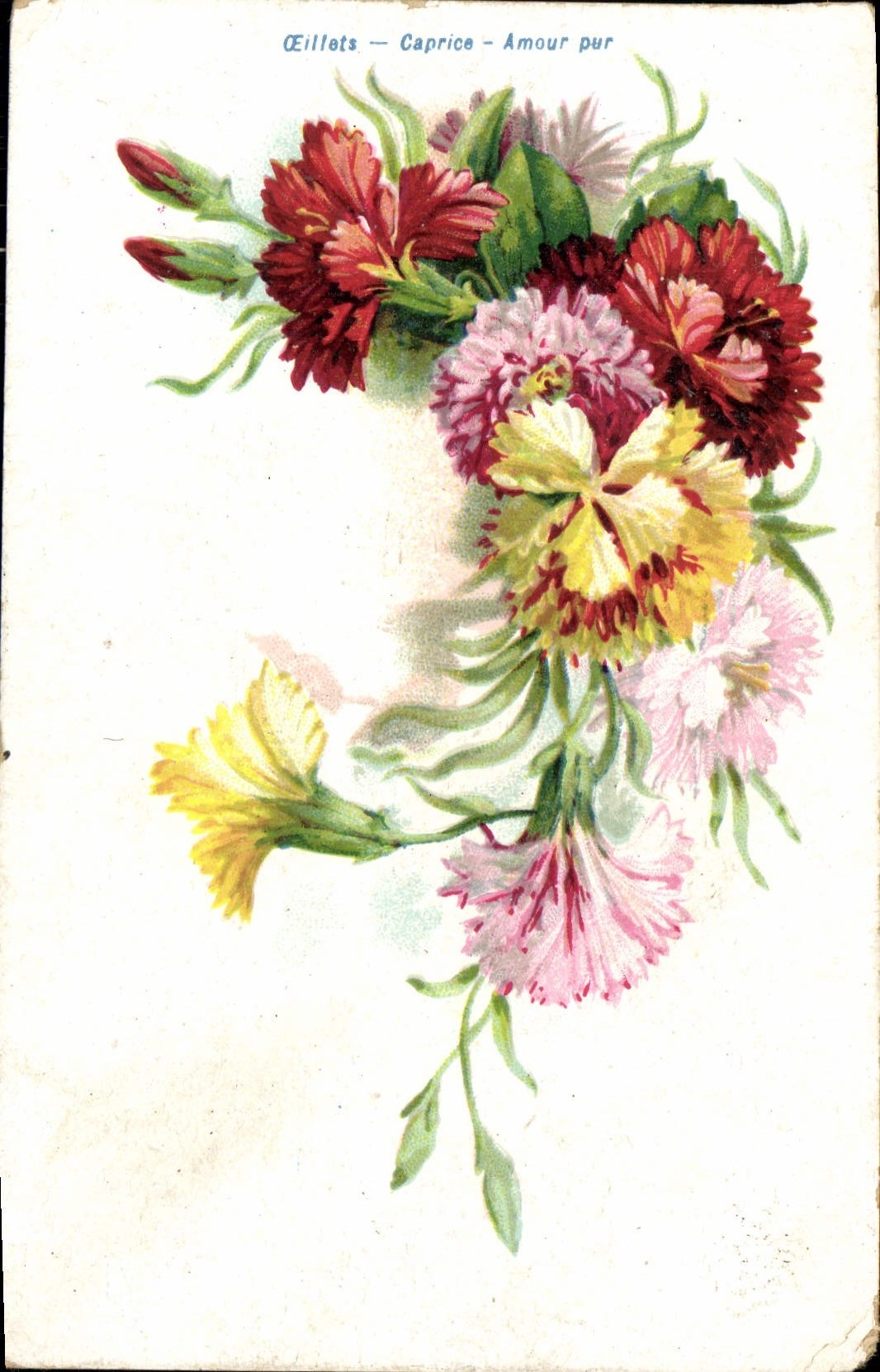CPA Fantaisie Fleurs Oeillets 