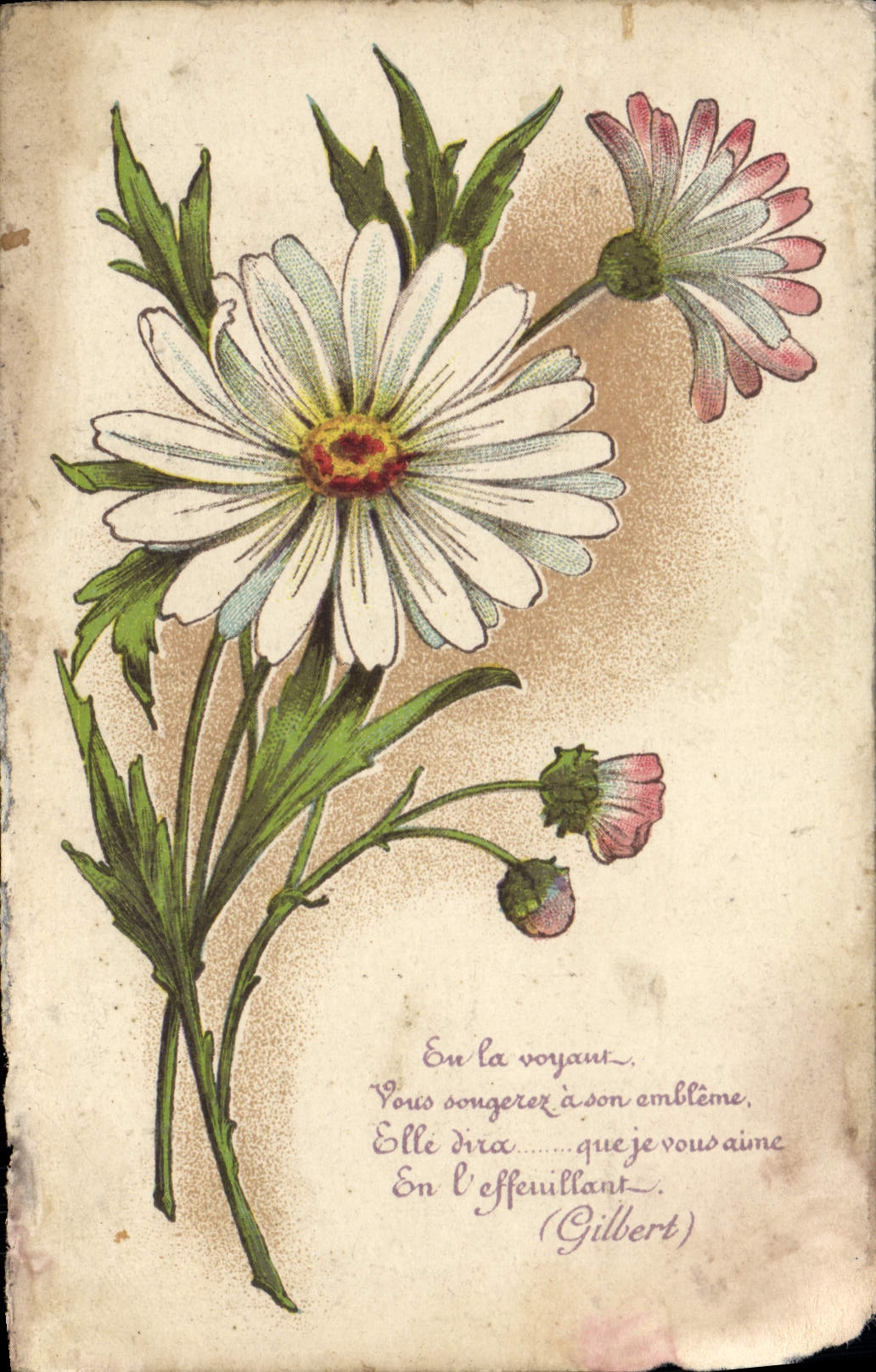 Flores de la fantasía de la POSTAL de la VENDIMIA