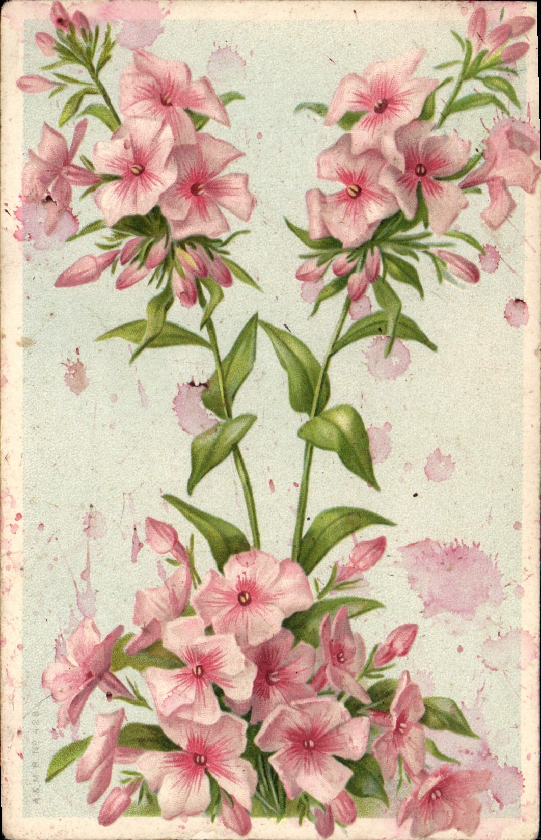 Flores de la fantasía de la POSTAL de la VENDIMIA