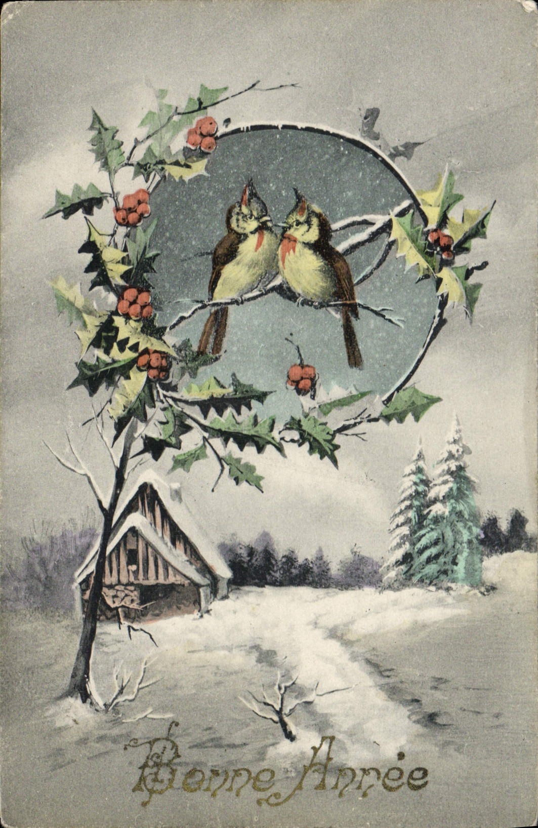 VINTAGE POSTCARD Fantasy Birds