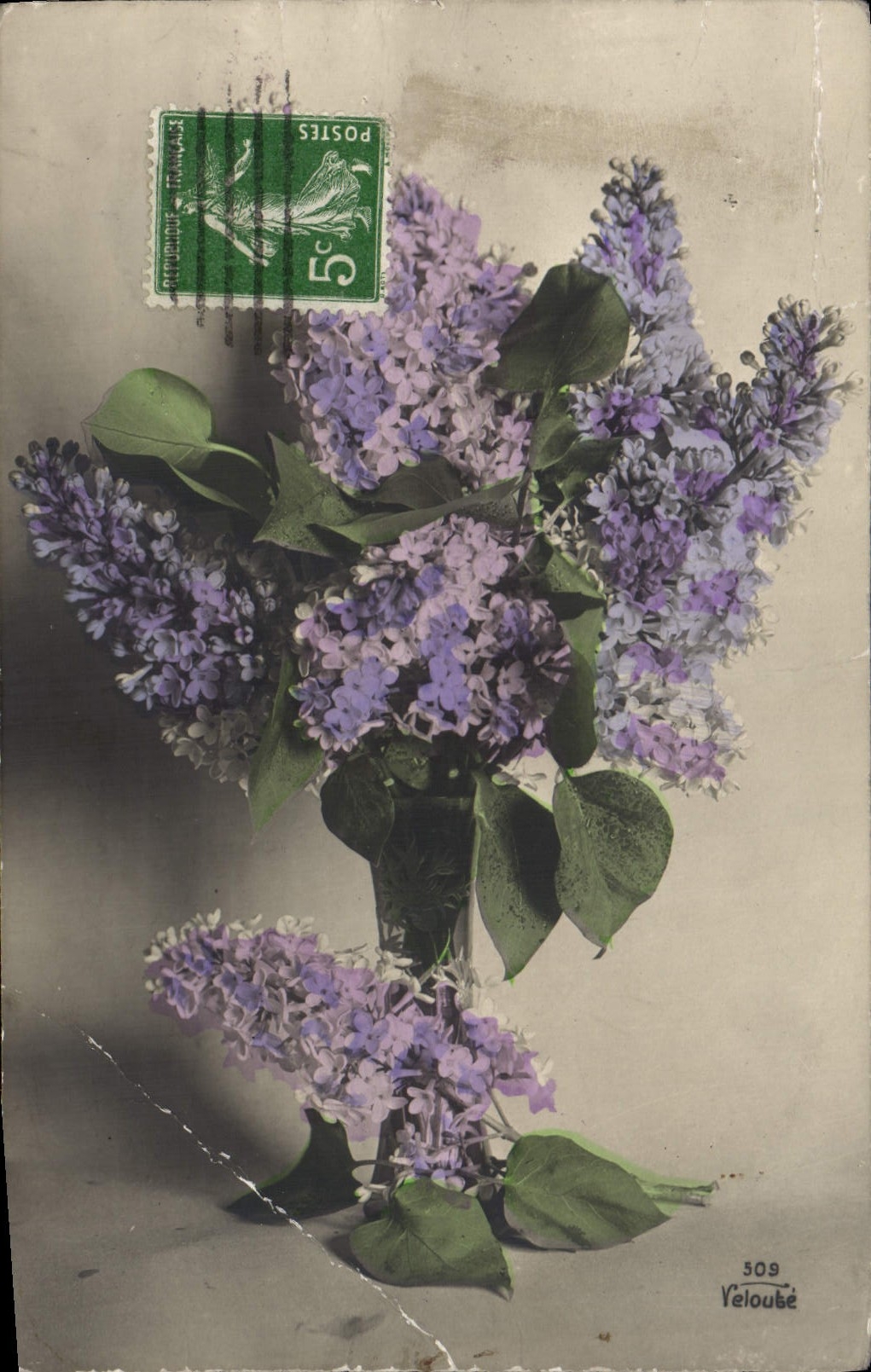 Flores de la fantasía de la POSTAL de la VENDIMIA